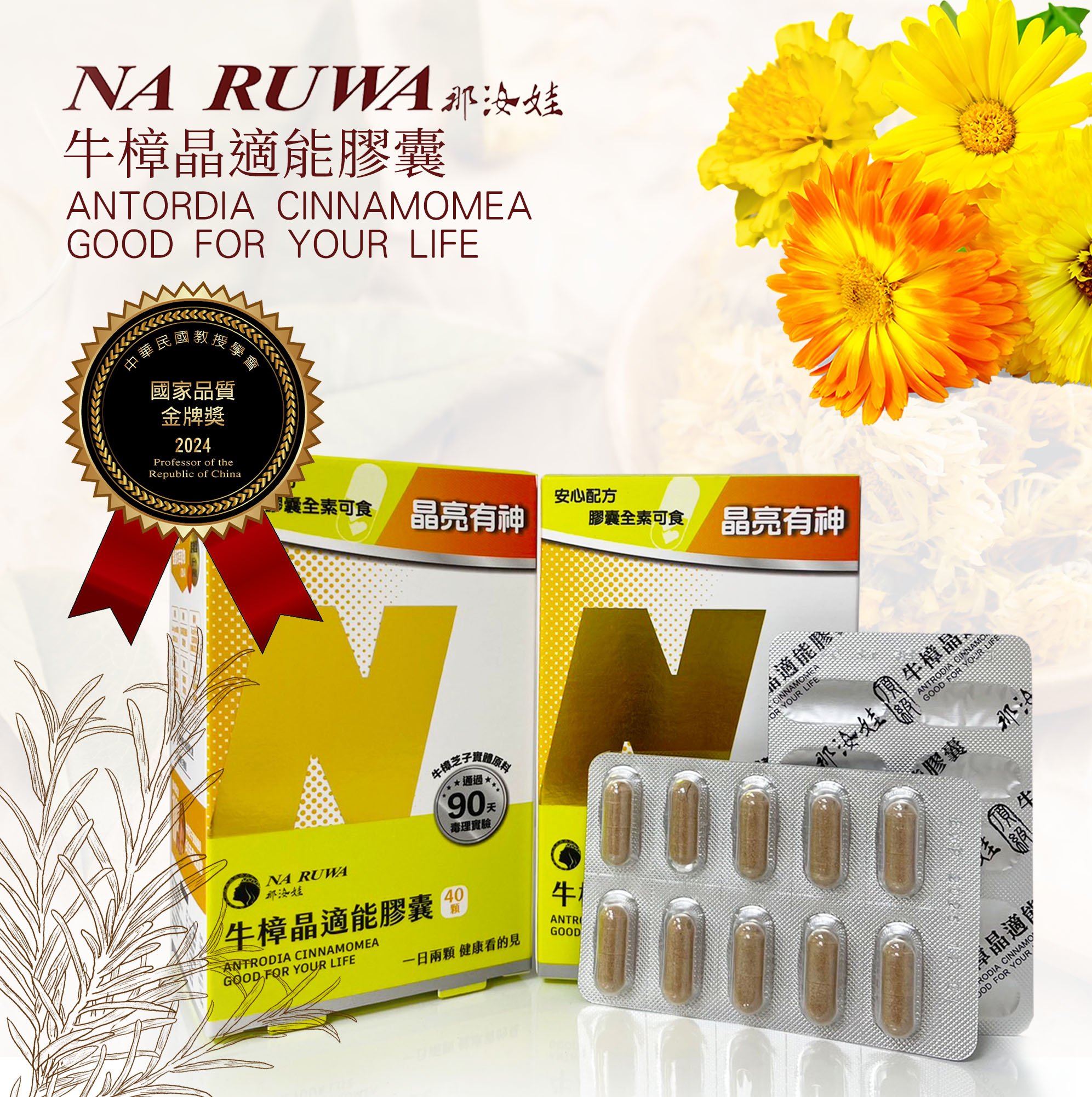 牛樟晶適能膠囊